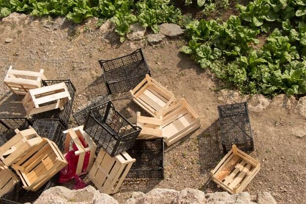 Gdzie wyrzucać odpady drewniane po remoncie?