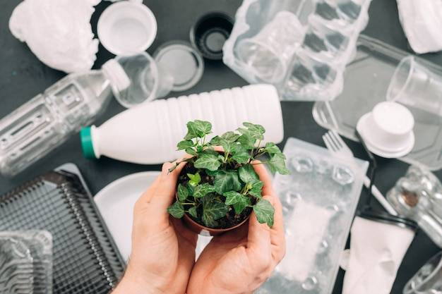 Na czym polega proces biodegradacji tworzyw sztucznych i dlaczego jest tak ważny?