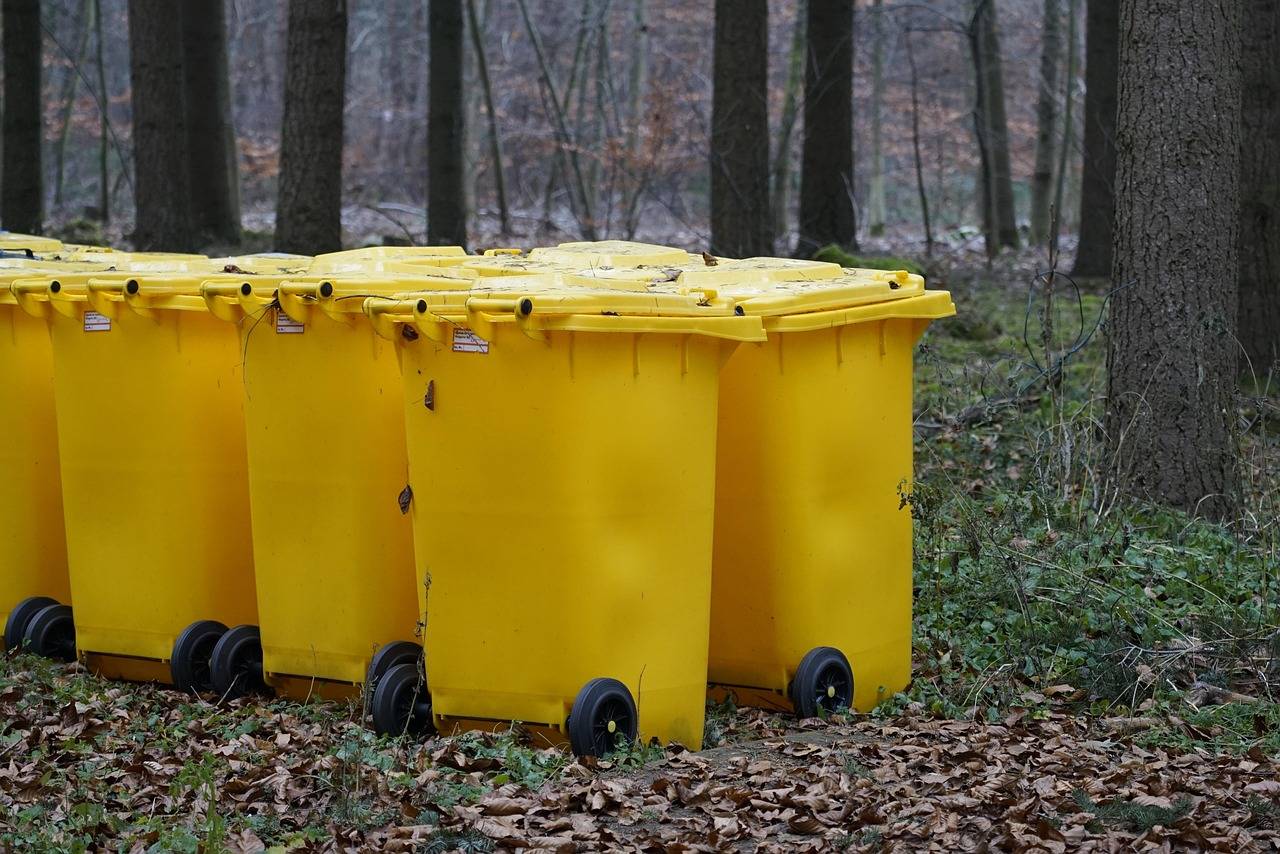 Co do zielonego pojemnika powinno trafić na pewno?