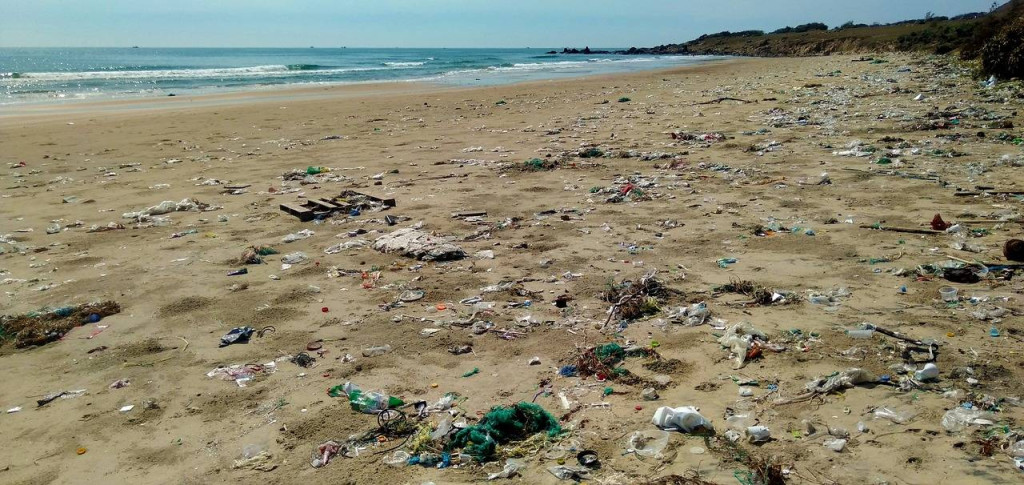 Jak poprawnie segregować odpady żeby nie popełnić błędów?